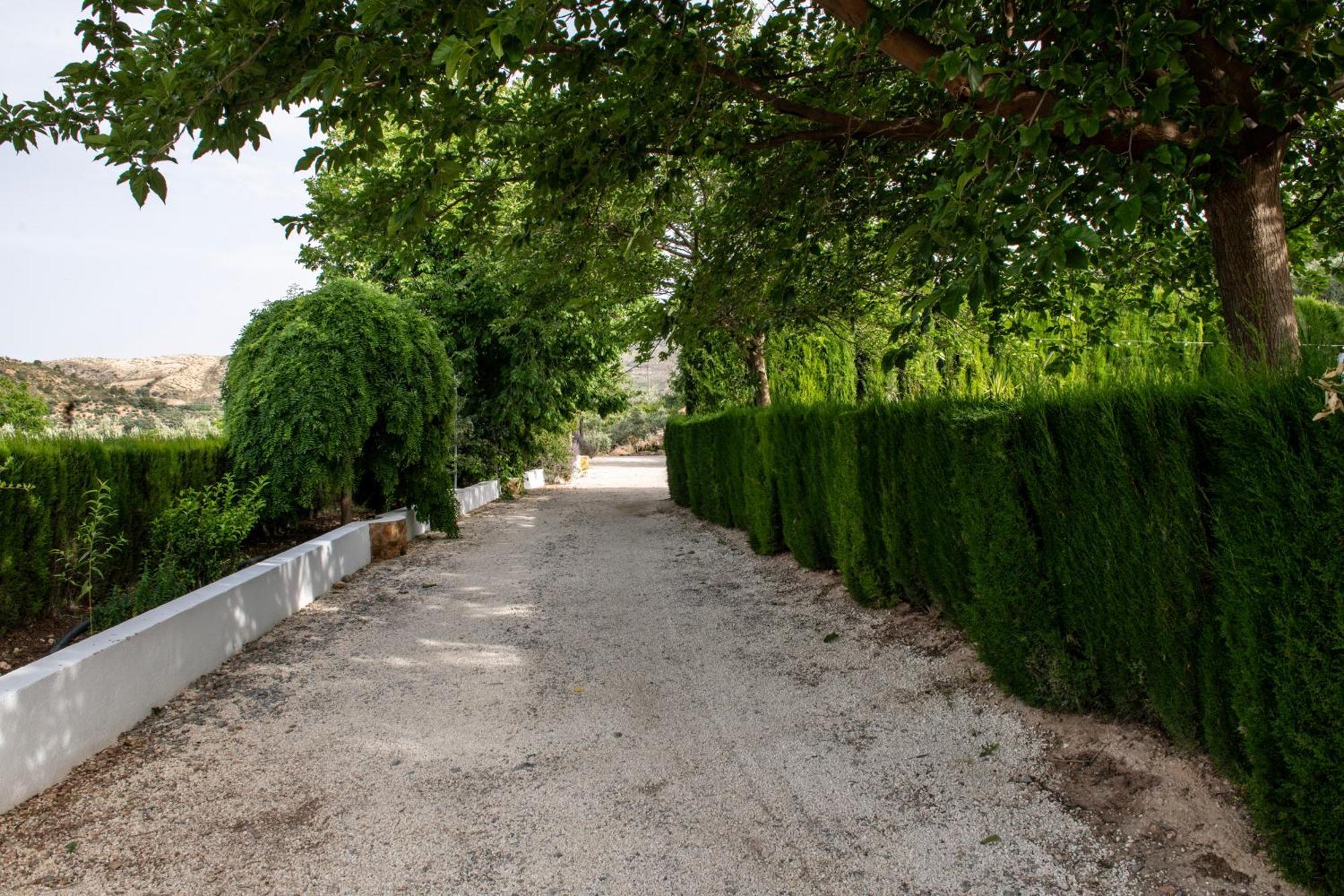 Cambil Alojamiento Turistico Loma Alta מראה חיצוני תמונה